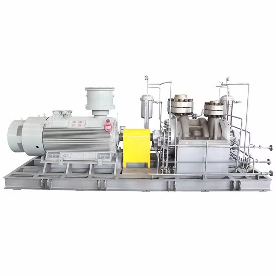Pumpe Verticaljoint Surface Haishi Vertical Centrifugal Vacuum Chemical Process Pump in China